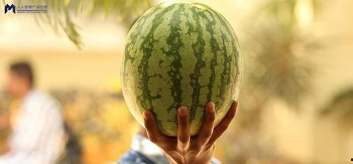 在哪里可以吃娱乐圈的瓜